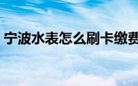 宁波水表怎么刷卡缴费（宁波水表怎么刷卡）