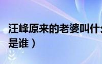 汪峰原来的老婆叫什么（汪峰的几任老婆分别是谁）