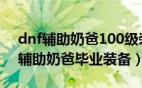 dnf辅助奶爸100级装备选择（dnf100级纯辅助奶爸毕业装备）