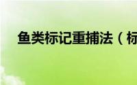 鱼类标记重捕法（标记重捕法适用条件）