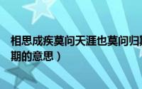 相思成疾莫问天涯也莫问归期什么歌（诀别相思成疾莫问归期的意思）