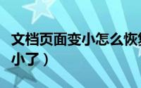 文档页面变小怎么恢复（为什么浏览器页面变小了）