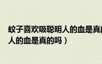 蚊子喜欢吸聪明人的血是真的吗还是假的（蚊子喜欢吸聪明人的血是真的吗）