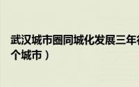 武汉城市圈同城化发展三年行动方案（武汉城市圈包括哪几个城市）