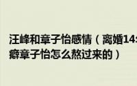 汪峰和章子怡感情（离婚14年汪峰前妻捅破他不为人知的怪癖章子怡怎么熬过来的）