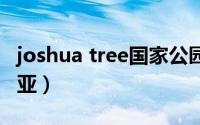 joshua tree国家公园（为什么joshua叫约书亚）