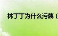 林丁丁为什么污蔑（林丁丁结局怎么看）