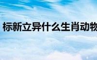 标新立异什么生肖动物（标新立异什么意思）