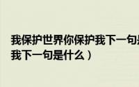 我保护世界你保护我下一句是什么意思（我保护世界你保护我下一句是什么）