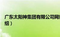 广东太阳神集团有限公司网站（广东太阳神集团有限公司介绍）