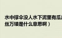 水中撑伞没人水下泥里有瓜瓜里有洞没虫千丝万缕没蚕（千丝万缕是什么意思啊）