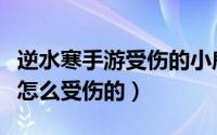 逆水寒手游受伤的小鹿触发不了（丹尼格兰杰怎么受伤的）