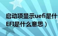 启动项显示uefi是什么意思呀（启动项显示UEFI是什么意思）