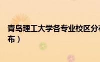 青岛理工大学各专业校区分布（青岛理工大学校区及专业分布）