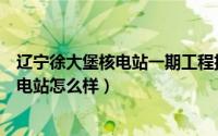 辽宁徐大堡核电站一期工程招标公告（辽宁葫芦岛徐大堡核电站怎么样）