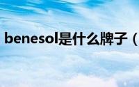 benesol是什么牌子（benpole是什么牌子）