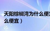 天阳棕榈湾为什么便宜一点（天阳棕榈湾为什么便宜）