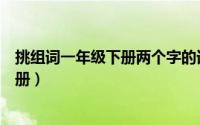 挑组词一年级下册两个字的词语有哪些（挑的组词一年级下册）