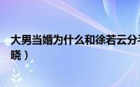 大男当婚为什么和徐若云分手（大男当婚徐若云出国后续车晓）