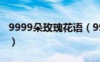 9999朵玫瑰花语（9999朵玫瑰代表什么意思）