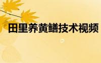 田里养黄鳝技术视频（荒田养黄鳝的方法）