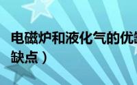 电磁炉和液化气的优缺点（液化气取暖炉的优缺点）