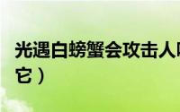 光遇白螃蟹会攻击人吗（光遇白螃蟹怎么弄翻它）