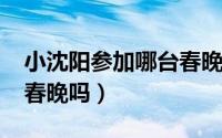 小沈阳参加哪台春晚（小沈阳2022年上央视春晚吗）