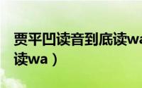 贾平凹读音到底读wa还是ao（贾平凹为什么读wa）