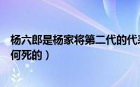 杨六郎是杨家将第二代的代表人物（杨家将里的杨六郎是如何死的）