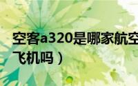 空客a320是哪家航空公司的（空客a320是大飞机吗）