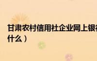 甘肃农村信用社企业网上银行登录（农村信用社网上银行叫什么）