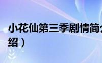 小花仙第三季剧情简介（小花仙第三季剧情介绍）