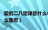 爱的二八定律是什么小说（爱的二八定律是什么意思）