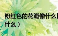 粉红色的花瓣像什么比喻句（粉红色的花瓣像什么）