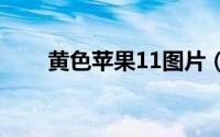 黄色苹果11图片（黄色苹果新品种）