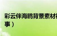 彩云伴海鸥背景素材视频（彩云伴海鸥背景故事）