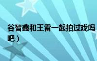 谷智鑫和王雷一起拍过戏吗（王雷谷智鑫和贾乃亮长得很像吧）