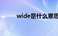 wide是什么意思（wide是什么）