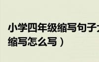 小学四年级缩写句子大全及答案（四年级句子缩写怎么写）