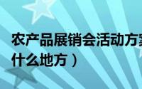 农产品展销会活动方案（北京农展馆展销会在什么地方）