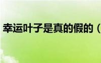 幸运叶子是真的假的（幸运叶子是不是正品）