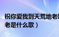 祝你爱我到天荒地老歌词（我会陪你到天荒地老是什么歌）