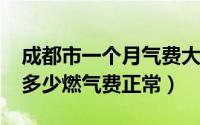 成都市一个月气费大概是好多?（成都一个月多少燃气费正常）