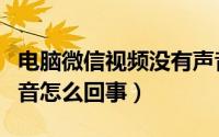 电脑微信视频没有声音（电脑微信视频没有声音怎么回事）