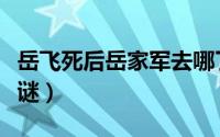 岳飞死后岳家军去哪了（岳飞死后三大未解之谜）