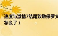 速度与激情7结尾致敬保罗文案（速度与激情7结尾致敬保罗怎么了）