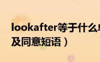 lookafter等于什么单词（lookafter的用法及同意短语）