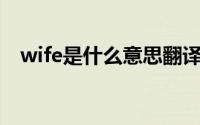 wife是什么意思翻译（Wife是什么意思）