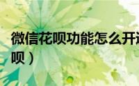 微信花呗功能怎么开通（微信里的钱怎么还花呗）